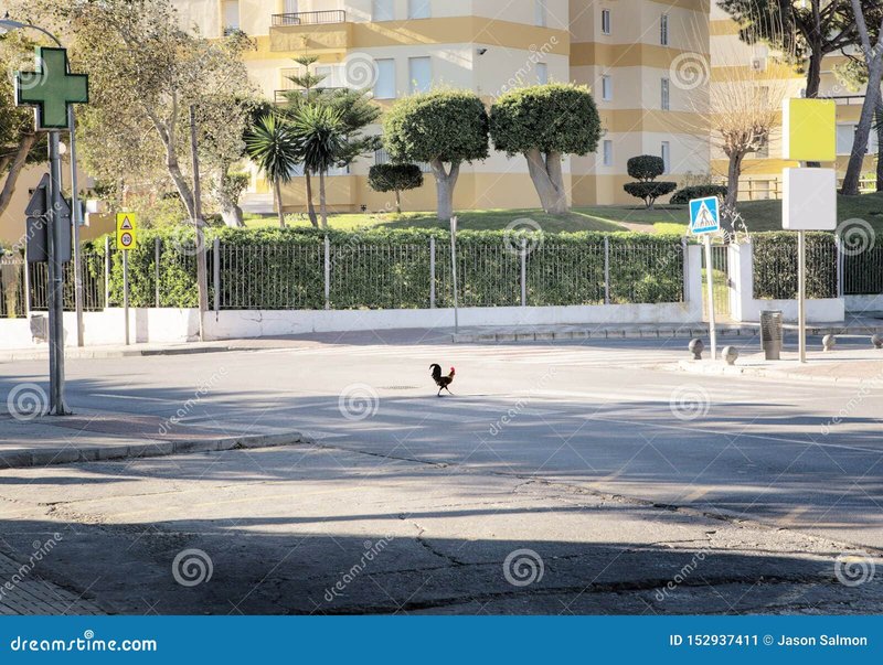 Best chicken road game in Spain